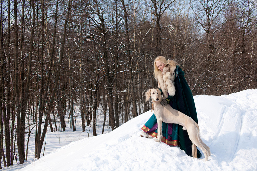 金发和沙露金发女郎宠物女孩女性晴天猎人动物阳光毛皮森林图片