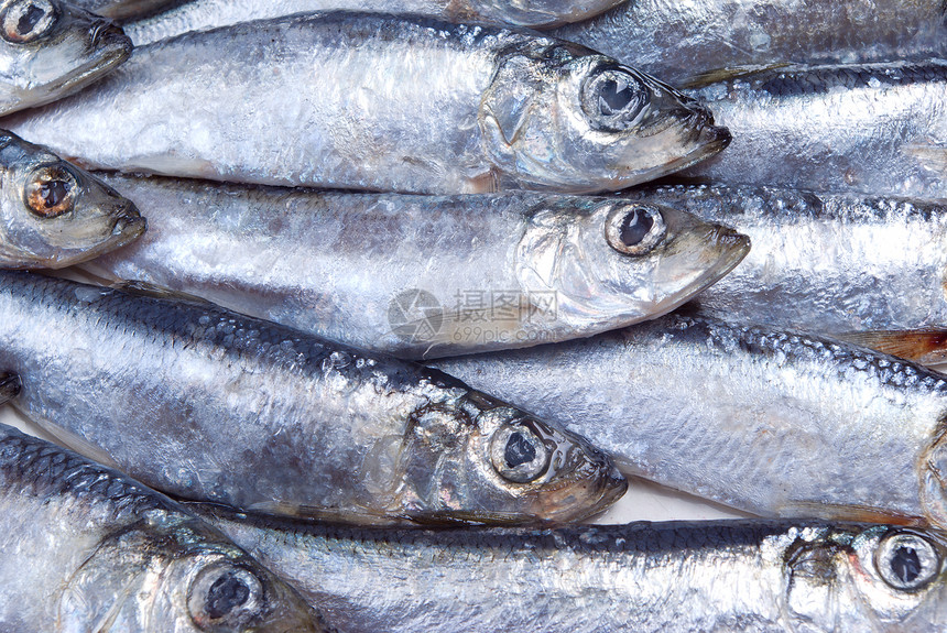 新鲜的苗林缝合海鲜白色销售鲱鱼鲷鱼食物海洋市场测试水平图片