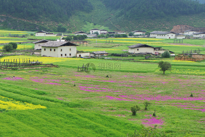 村景观草地季节农家房子风景爬坡高原植物学农作物农场图片
