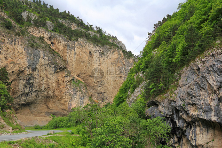 高加索山脉 Dombai首脑季节爬坡石头岩石叶子风景顶峰森林荒野图片