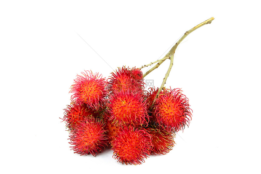拉姆布坦植物情调水果异国霞石营养荔枝甜点饮料热带图片