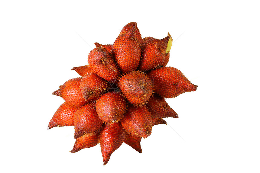 沙拉或扎勒卡 来自泰国的甜和酸水果营养甜点植物群异国热带种子维生素棕榈食物情调图片