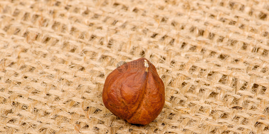 圆滑背景的黑桃栗子宏观松鼠白色榛子坚果季节性小吃味道核桃种子图片