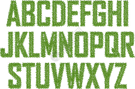 标题字体素材来信信函语言打字稿树叶字母字体插图分支机构绿色标题接线插画