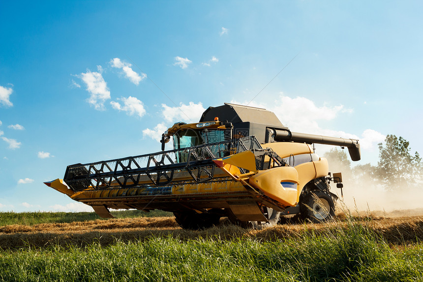 Yellov联合田间采金小麦收成天空生长机械机器农场谷物农村收获收割机图片