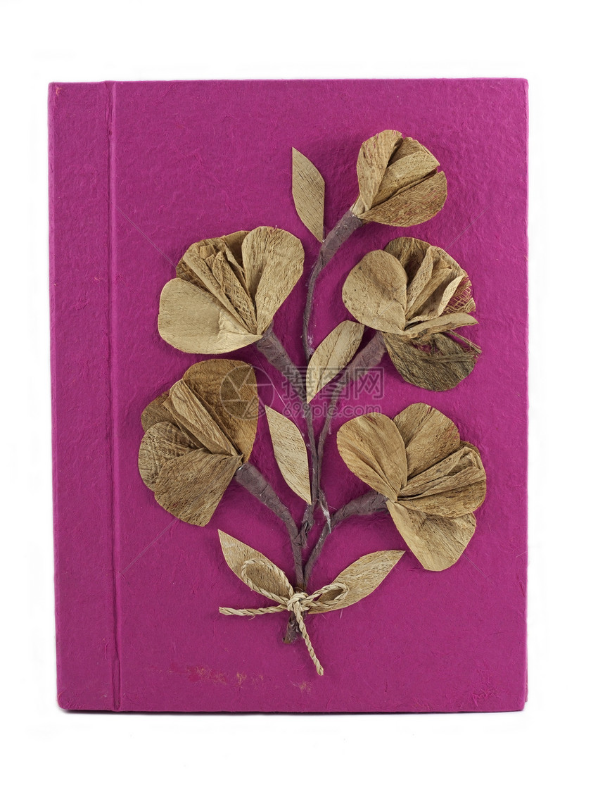 Mulberry纸笔记本书手工制作的植物群白色古董纤维叶子植物紧缩艺术笔记床单图片