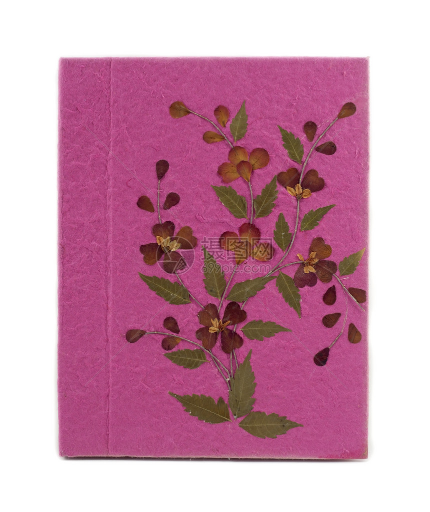 粉红木莓纸本图片
