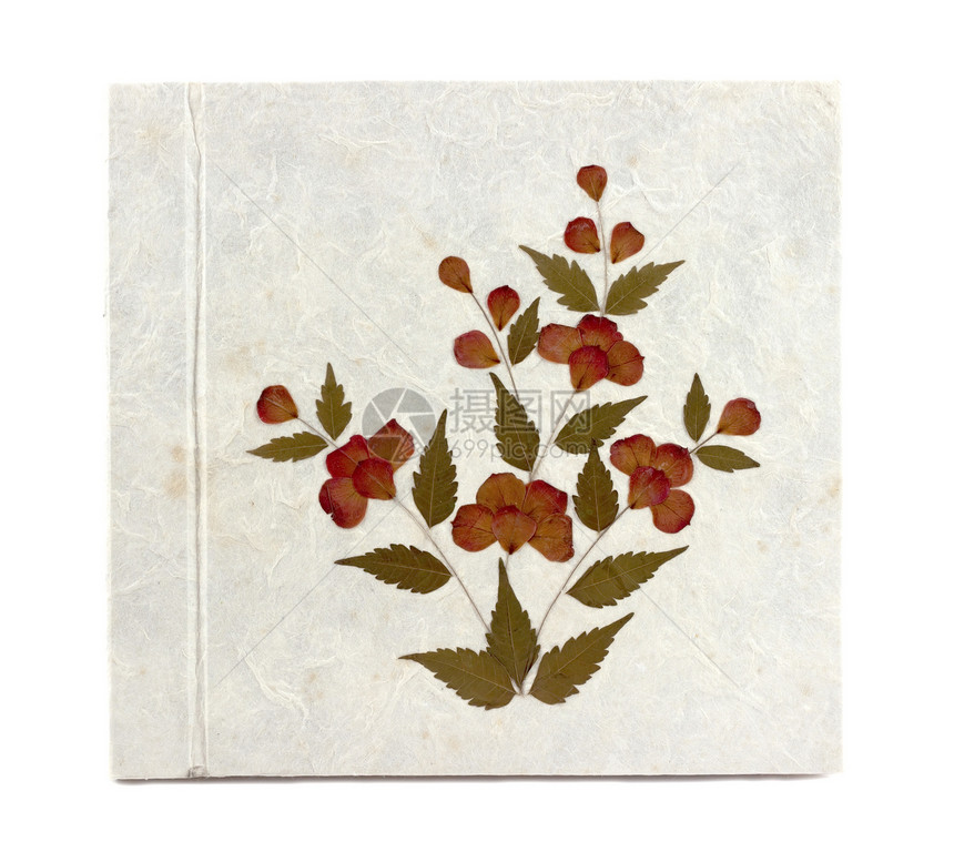 旧白木莓纸本手工古董紧缩墙纸床单纤维笔记植物叶子质感图片