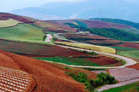红地农场曲线爬坡地球村庄红色农作物农田土地小麦背景图片
