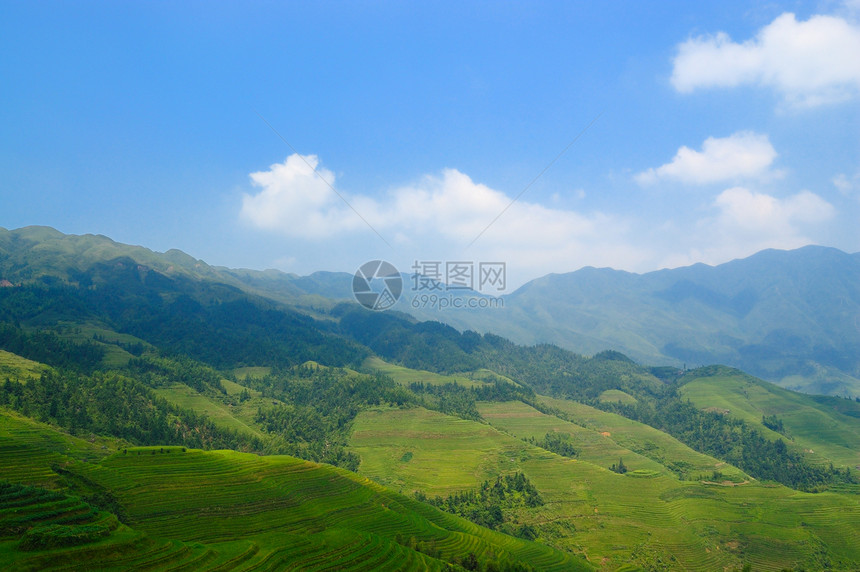 中国农村地貌梯田绿色植物森林植被稻田农田场地天空农场阳台图片