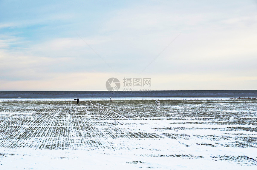 稻草人乡村农田蓝色警卫场地农场国家农村天空风景图片