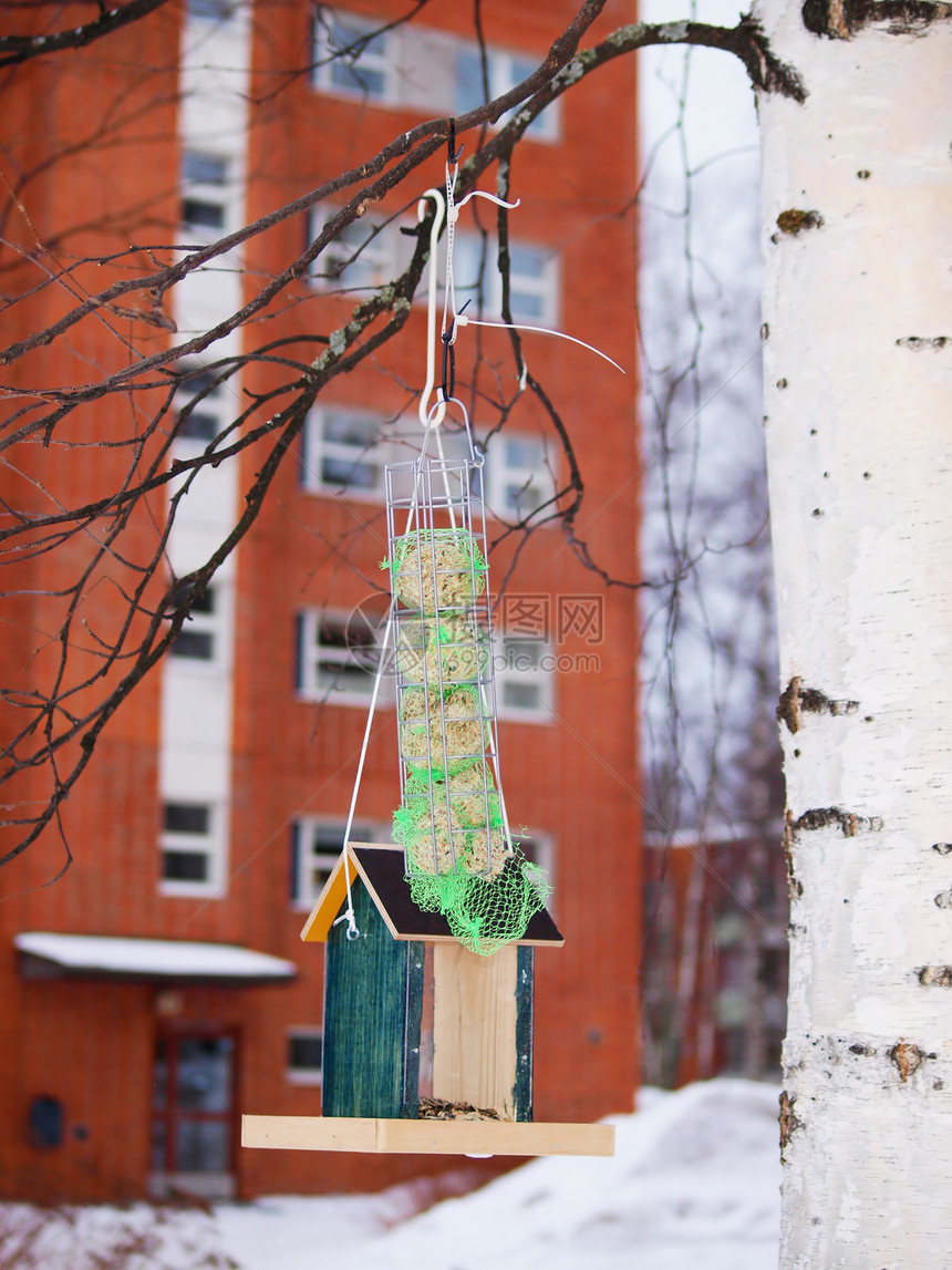 鸟食屋和鸟的脂肪球 挂在树上图片