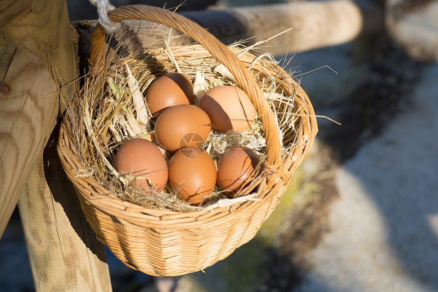 鸡蛋篮食物农业农场乡村产品水平生产图片