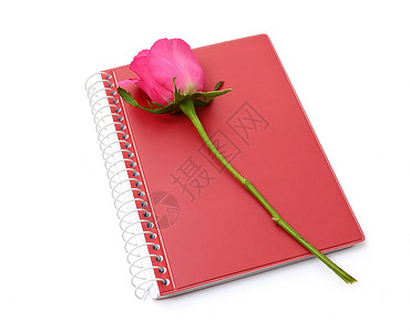白背景的粉红玫瑰和红色笔记本背景图片