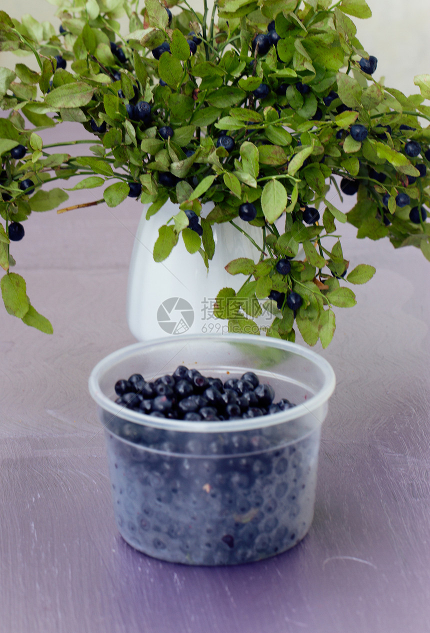 树枝上的蓝莓饮食覆盆子店铺果汁衬套市场收成生产水果食物图片
