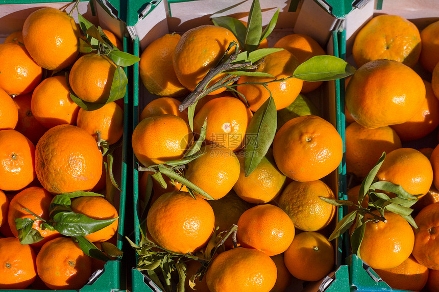 在一连串篮子中收成的橙色柑橘水果销售食物杂货树叶盒子营养橙子摊位晴天皮肤图片