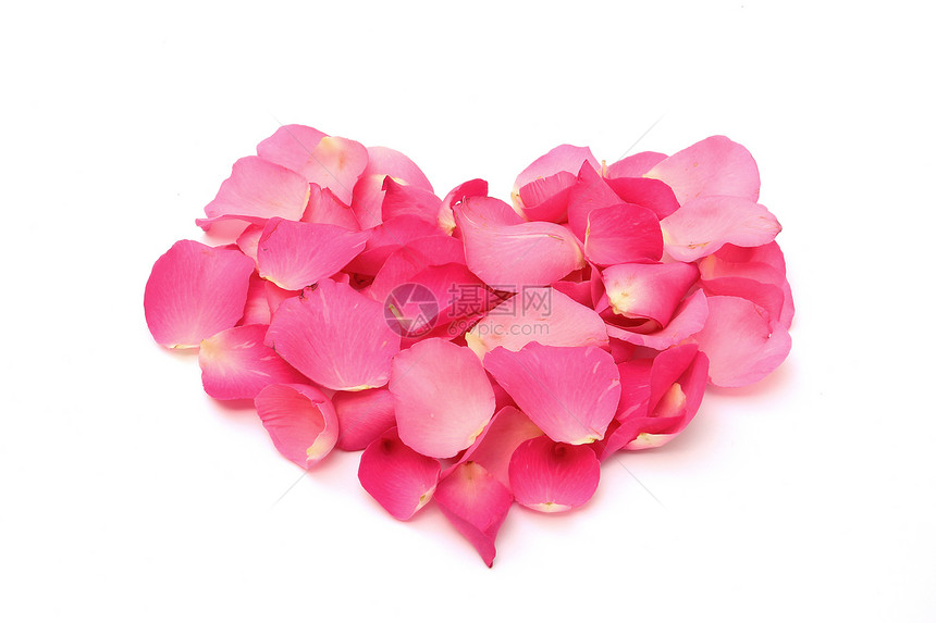 白色背景的心脏形式的玫瑰花瓣图片