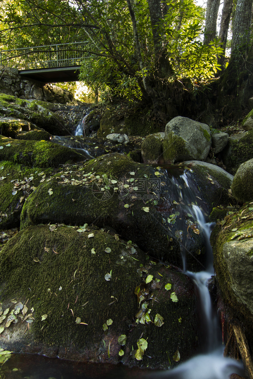 流淌着河流的红林苔藓瀑布石头处女巨石流动岩石树木季节阴影图片