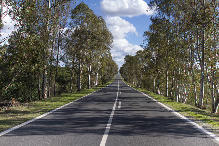 长沥青路天空小路路线驾驶汽车农村多云绿色乡村森林图片
