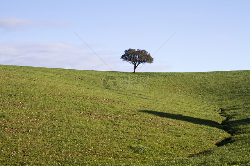 绿山空空 树木很少散落农村环境绿色草地农田山坡爬坡乡村美丽场地图片