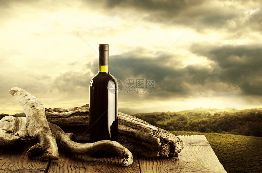 葡萄酒和葡萄园酿酒瓶子太阳树叶木头田园栽培水平酒瓶风光图片