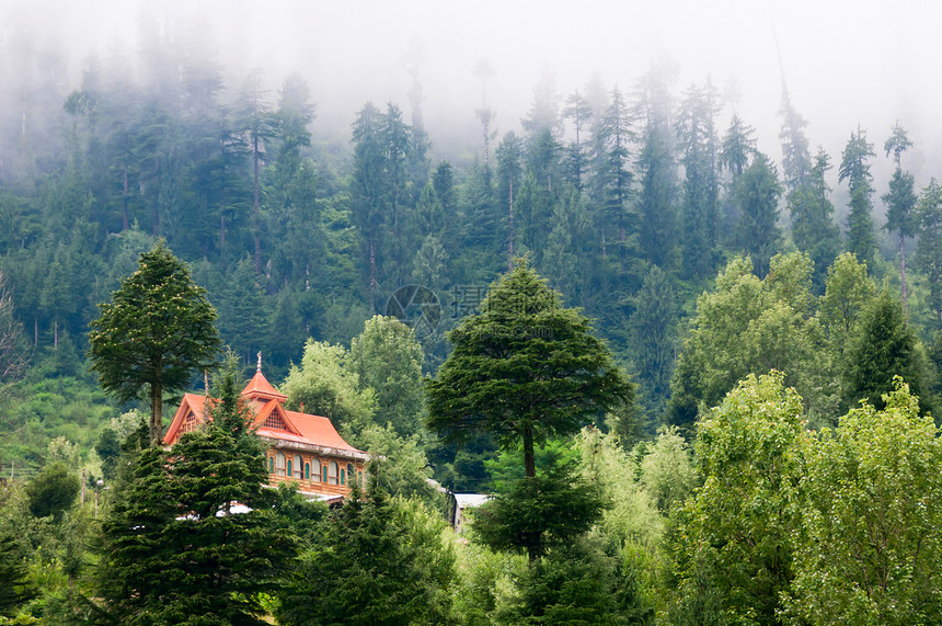 山中有许多山岳 云彩笼罩针叶大厦波峰木头高地草地薄雾场地场景国家图片