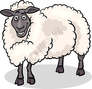 农牧养羊的动物漫画插图白色草图卡通片吉祥物国家羊毛快乐配种微笑农场背景图片
