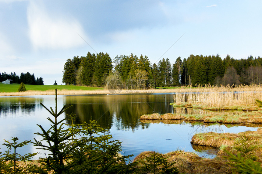 春季湖和森林的美景景观树木草地地平线天空植物太阳季节场地天气假期图片
