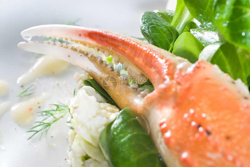 加螃蟹沙拉树叶盘子茶点香料烹饪野菜午餐美食酒吧蔬菜图片