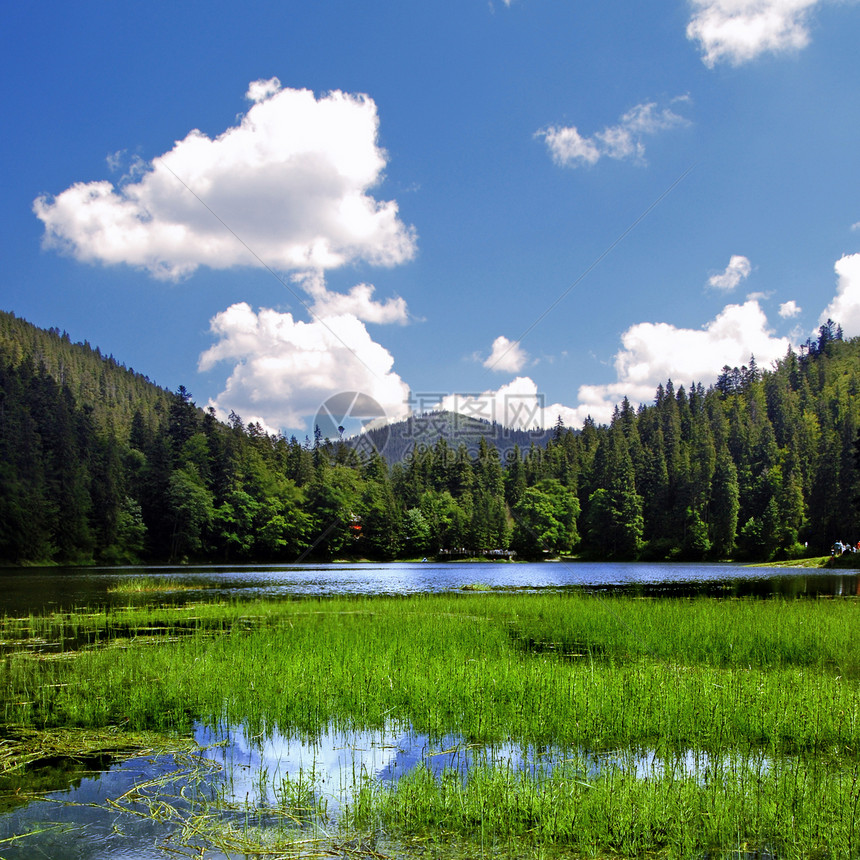 山地和蓝湖的夏季风景图片