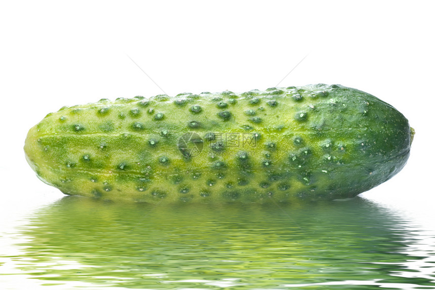 绿黄瓜 白上隔着水滴食物园艺植物蔬菜绿色文化烹饪收成饮食白色图片