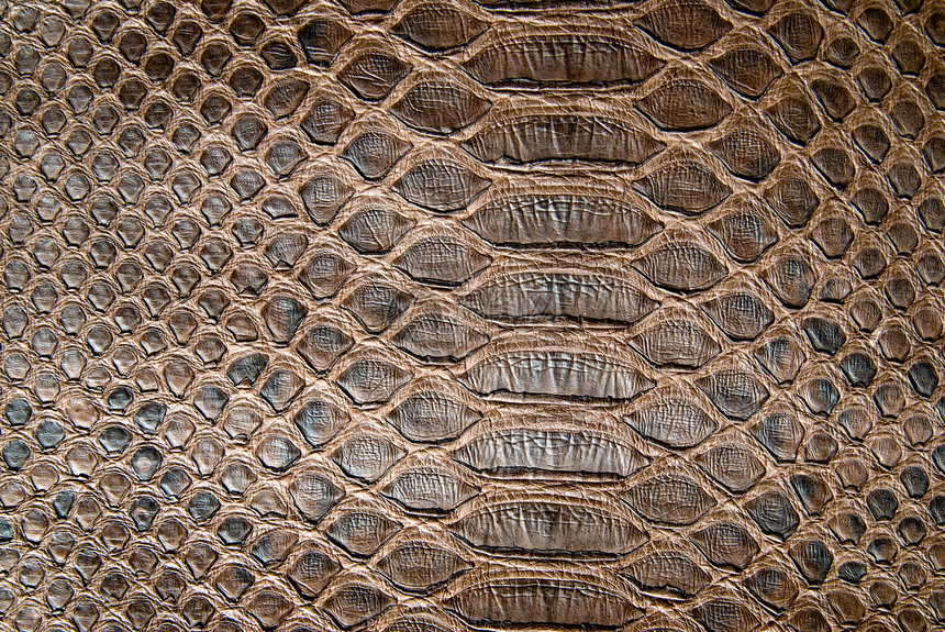 棕色鳄鱼纹理爬虫墙纸皮革魅力爬行动物皮肤宏观热带动物群手提包图片