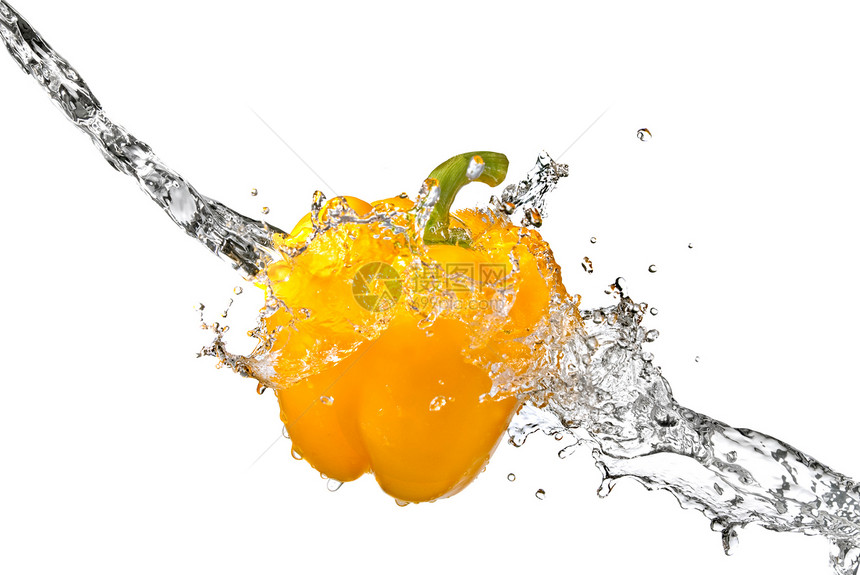 黄色甜辣椒在白色的孤立处喷洒着鲜水营养文化花园植物饮食水滴园艺食物蔬菜烹饪图片