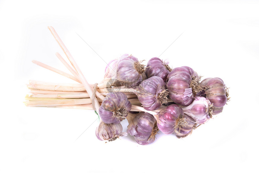 大蒜香料丁香紫色食物节食香气烹饪色调草本植物香味图片