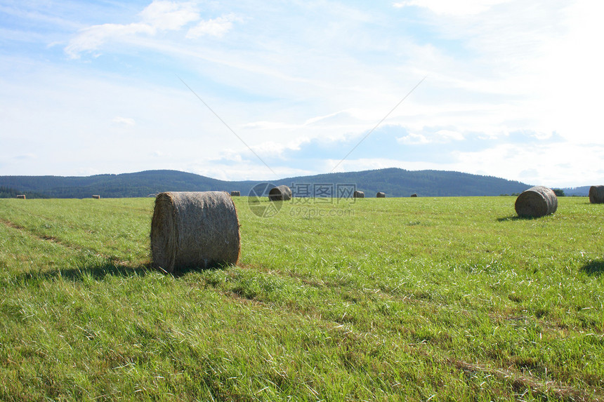 Czech夏季国家地形季节场地晴天农田玉米麦田天气气候风景图片