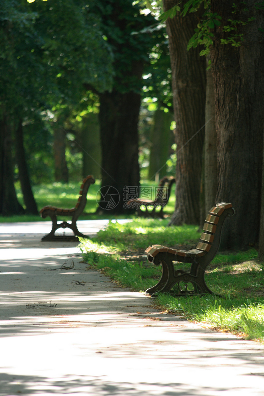 公园里的长凳长椅木匠胡同座位绿色街道树叶娱乐花园阴影图片