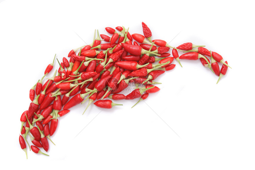 香料chili背景绿色白色食物烹饪蔬菜团体辣椒宏观植物胡椒图片
