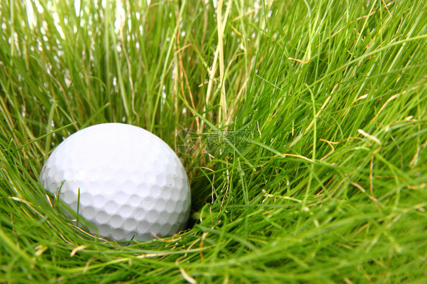 绿草中高尔夫球白色艺术宏观光泽度娱乐竞赛运动活动圆圈爱好图片