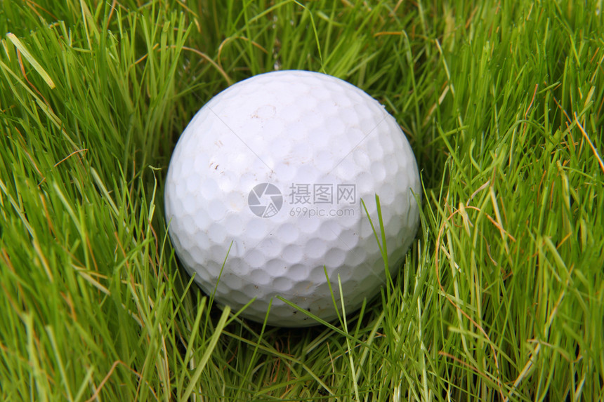 绿草中高尔夫球光泽度竞赛挑战圆形运动游戏草地活动圆圈反射图片