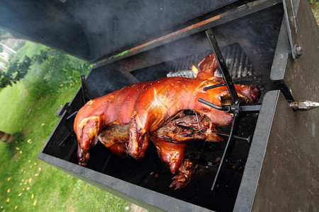 烤猪乳猪煤炭火炉美味小猪食物架子花园农场烹饪背景图片