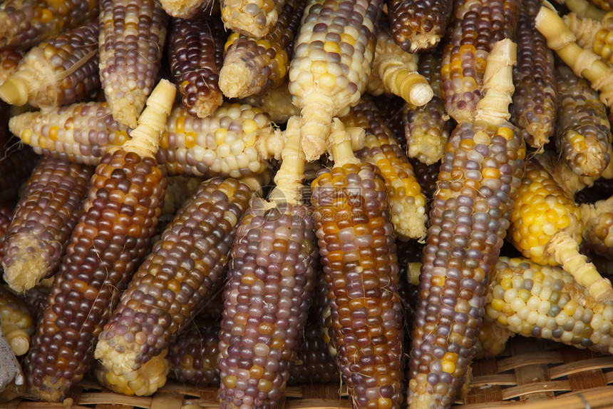玉米棒子面文化烹饪收成薄片核心太阳饮食农场谷物图片