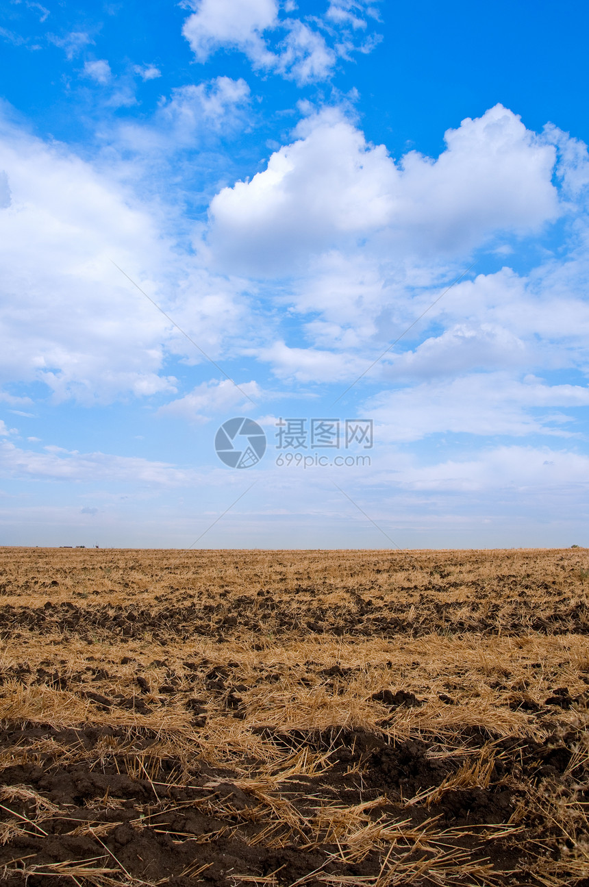 播种字段稻草季节性乡村土地地面地球黄色农业天空土壤图片