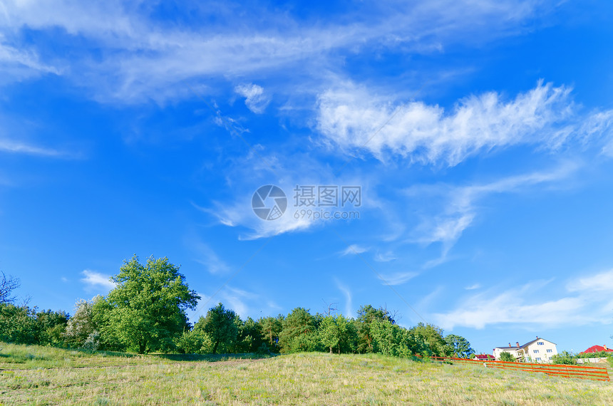 绿色森林的夏季风景 天空明蓝图片