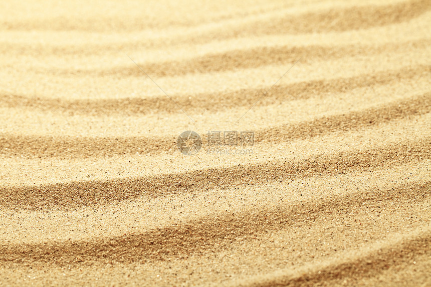 沙沙背景墙纸海岸材料热带粒状沙丘粮食沙漠褐色海洋图片