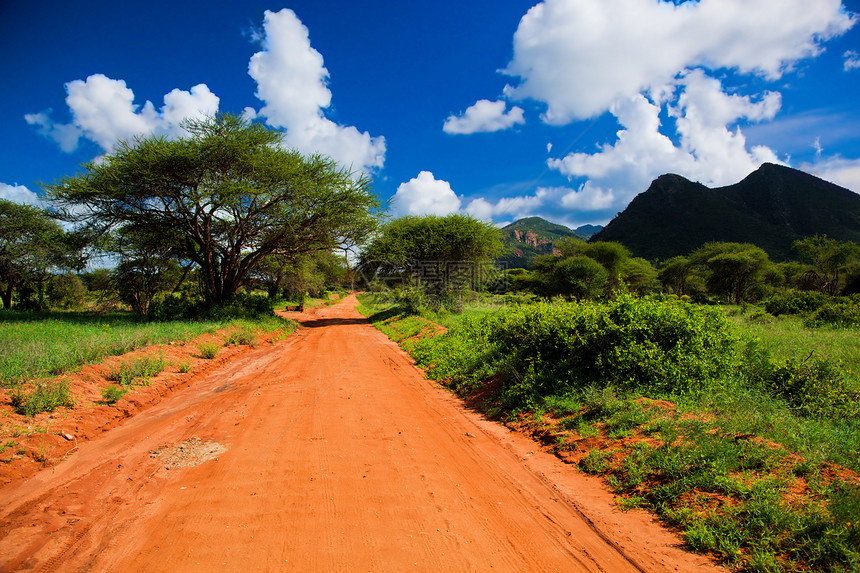 红地路 热带草原灌树 察沃西部 肯尼亚 非洲蓝色公园风景泥路衬套土壤旅行晴天丘陵大草原图片