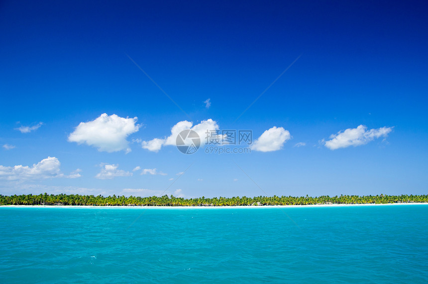 热带海洋太阳蓝色旅行棕榈地平线边缘海岸线天空海景阳光图片