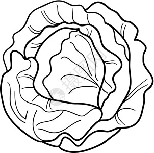 卷心菜头用于彩色书籍的卷心菜蔬菜漫画插画
