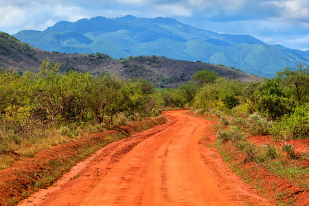 红地路和热带草原 肯尼亚 肯尼亚 非洲察沃西部丘陵地面土壤荒野泥路国家环境公园植物群蓝色背景图片