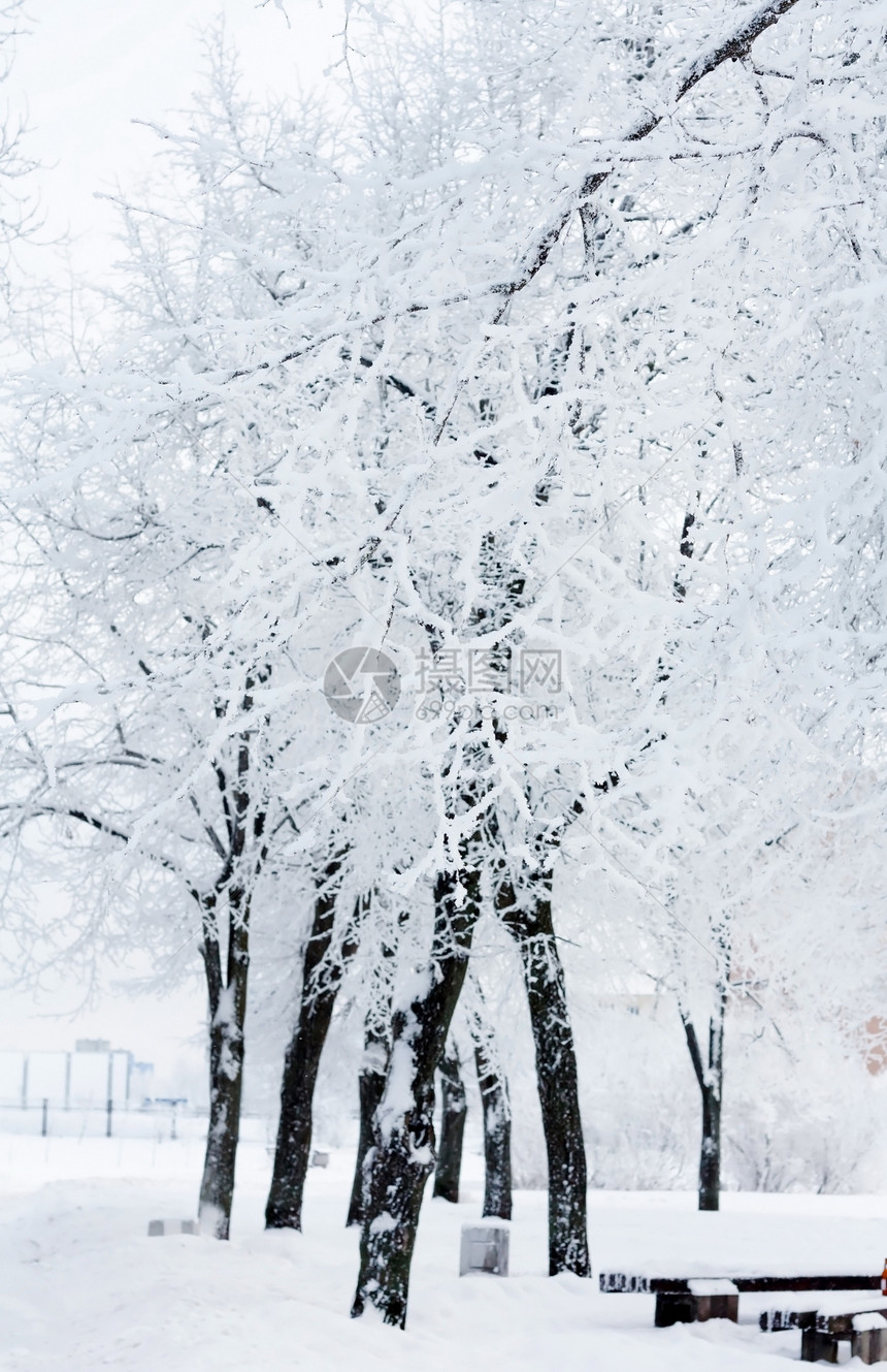 雪中冬季公园雪堆寂寞孤独季节墙纸木头雪景情绪环境风景图片
