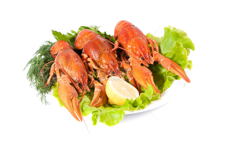 红煮龙虾烹饪熟食海鲜食物盘子茴香市场动物奢华海洋图片